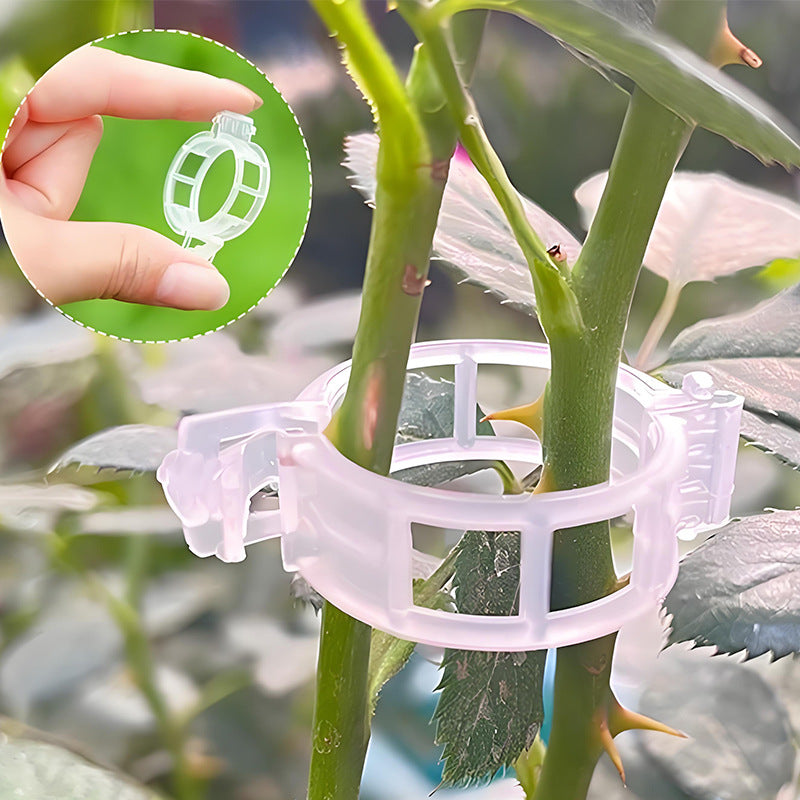 Clip di Supporto per Piante Rampicanti – Ideale per Pomodori e Orto (Fissaggio Stabile e Riutilizzabile)