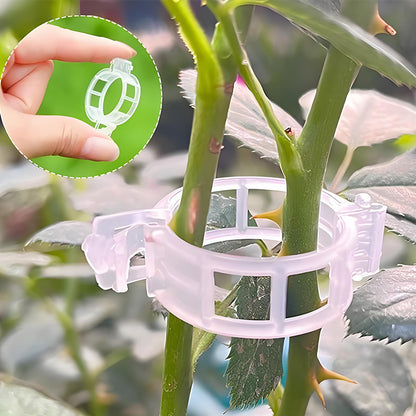 Clip di Supporto per Piante Rampicanti – Ideale per Pomodori e Orto (Fissaggio Stabile e Riutilizzabile)