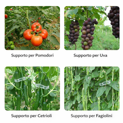 Clip di Supporto per Piante Rampicanti – Ideale per Pomodori e Orto (Fissaggio Stabile e Riutilizzabile)
