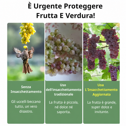 70% OFF | Sacchetti In Rete Traspiranti Riutilizzabili Per La Protezione Di Frutta E Verdura – Proteggi Da Insetti, Moscerini Della Frutta E Uccelli