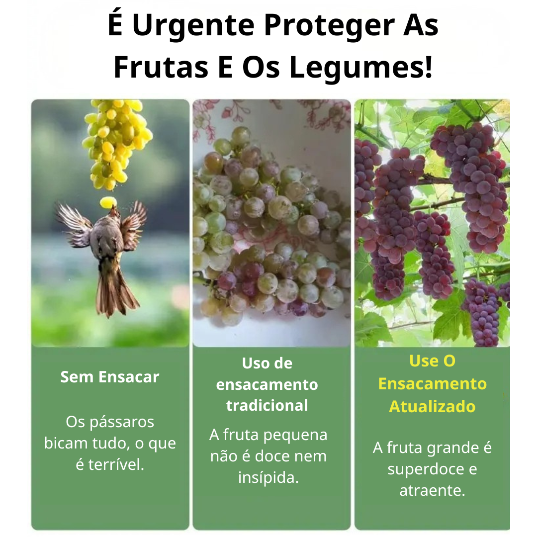 (DRAFT HUY Chưa dịch) | SACCHETTI A RETE RIUTILIZZABILI PER PROTEGGERE FRUTTA E VERDURA