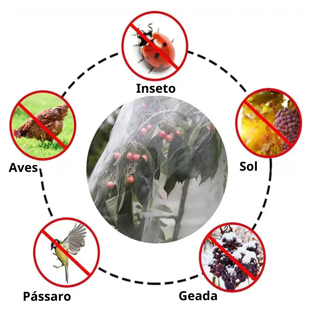 (DRAFT HUY Chưa dịch) | SACCHETTI A RETE RIUTILIZZABILI PER PROTEGGERE FRUTTA E VERDURA