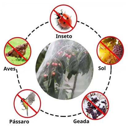 (DRAFT HUY Chưa dịch) | SACCHETTI A RETE RIUTILIZZABILI PER PROTEGGERE FRUTTA E VERDURA