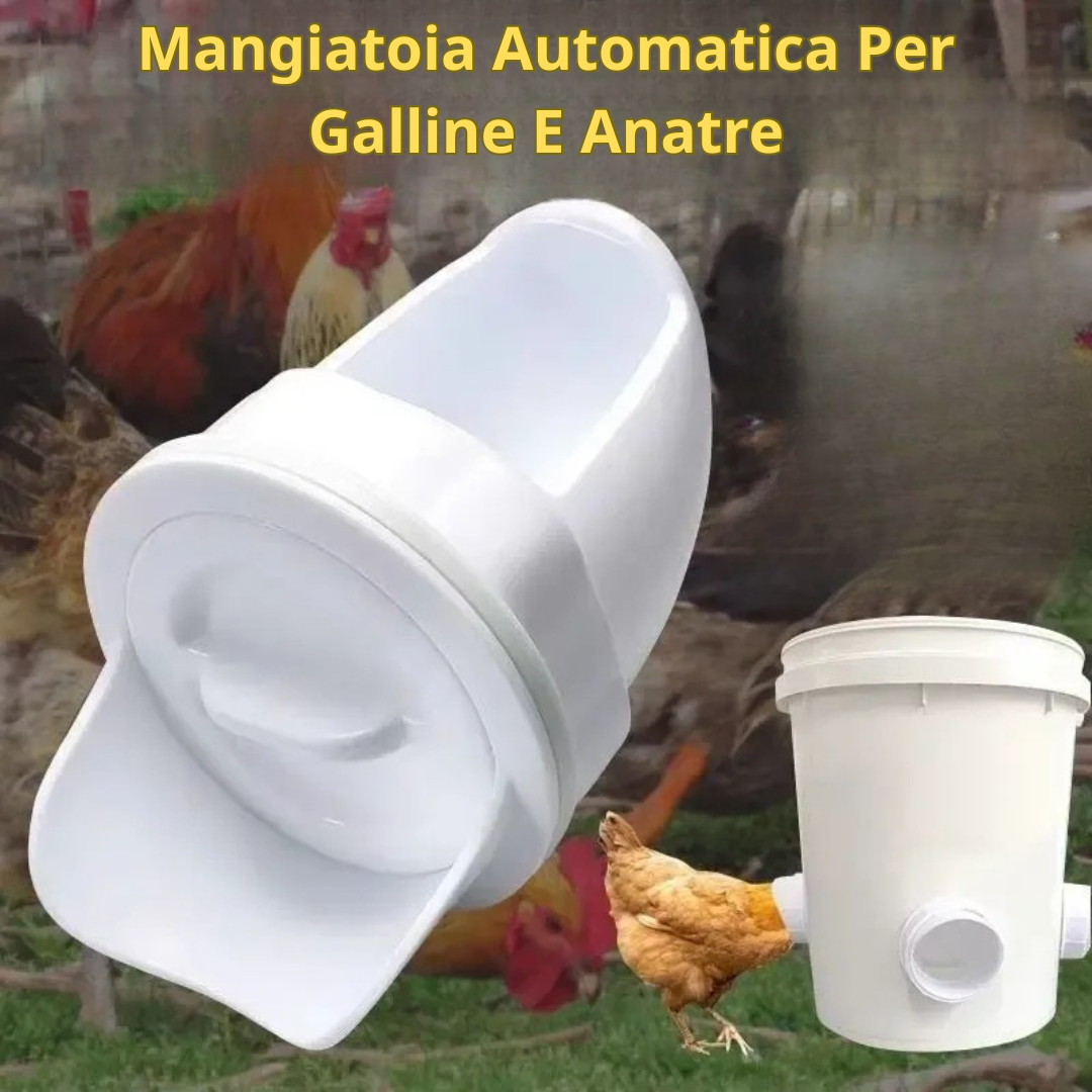 70% OFF | Mangiatoia Automatica Per Polli E Anatre Per Tutti I Tipi Di Secchi – Include Punta Da Trapano E Sega A Tazza
