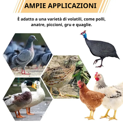 70% OFF | Mangiatoia Automatica Per Polli E Anatre Per Tutti I Tipi Di Secchi – Include Punta Da Trapano E Sega A Tazza