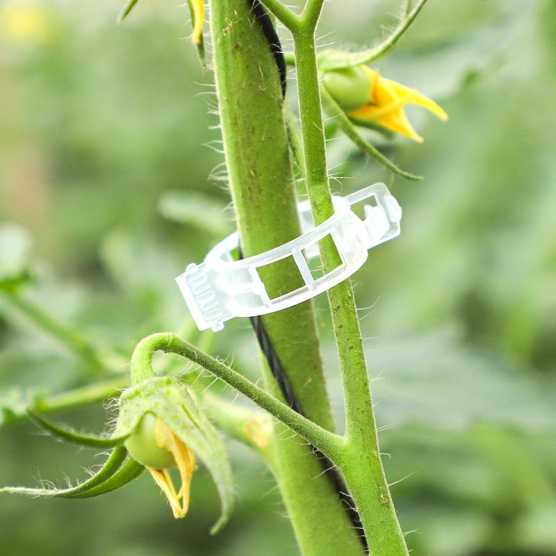 Clip di Supporto per Piante Rampicanti – Ideale per Pomodori e Orto (Fissaggio Stabile e Riutilizzabile)
