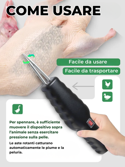 Macchina spiumatrice elettrica per polli, anatre e quaglie