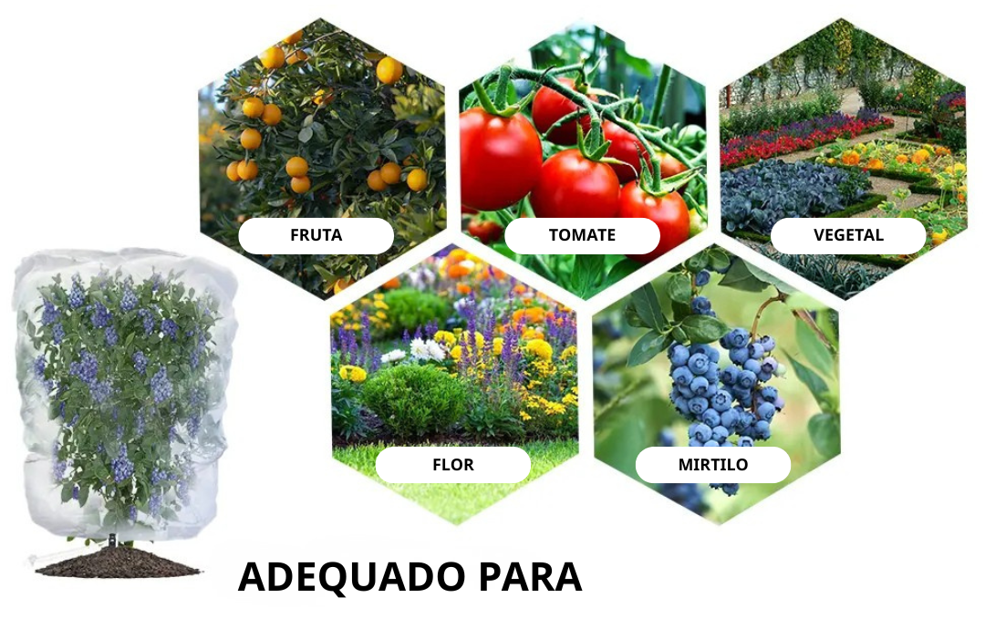 (DRAFT HUY Chưa dịch) | SACCHETTI A RETE RIUTILIZZABILI PER PROTEGGERE FRUTTA E VERDURA