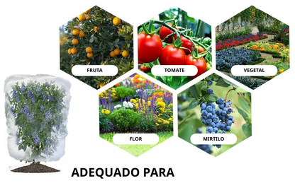 (DRAFT HUY Chưa dịch) | SACCHETTI A RETE RIUTILIZZABILI PER PROTEGGERE FRUTTA E VERDURA