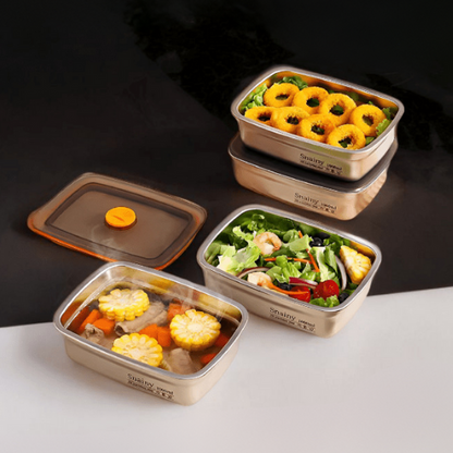 ⭐️ Set contenitori sottovuoto antibatterici in acciaio inox 316 (19*13,5*5,5 cm)