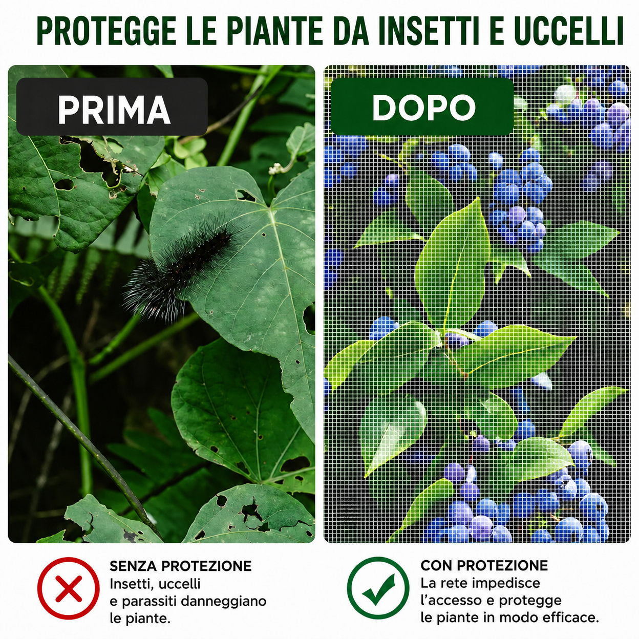 70% OFF | Sacchetti In Rete Traspiranti Riutilizzabili Per La Protezione Di Frutta E Verdura – Proteggi Da Insetti, Moscerini Della Frutta E Uccelli