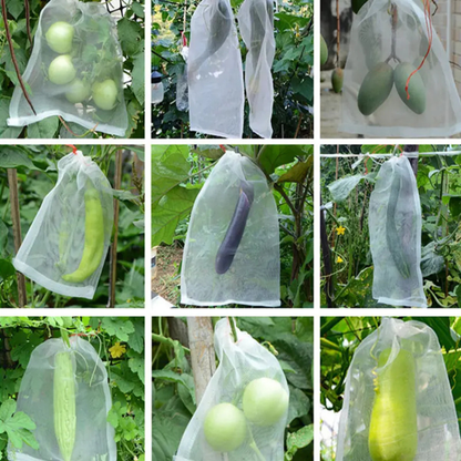 (DRAFT HUY Chưa dịch) | SACCHETTI A RETE RIUTILIZZABILI PER PROTEGGERE FRUTTA E VERDURA