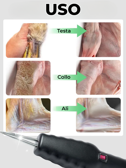 Macchina spiumatrice elettrica per polli, anatre e quaglie