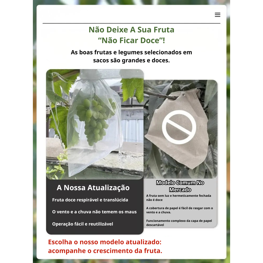 (DRAFT HUY Chưa dịch) | SACCHETTI A RETE RIUTILIZZABILI PER PROTEGGERE FRUTTA E VERDURA