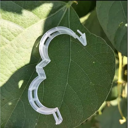 Clip di Supporto per Piante Rampicanti – Ideale per Pomodori e Orto (Fissaggio Stabile e Riutilizzabile)