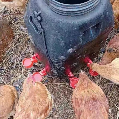 Abbeveratoio Automatico per Pollame – Per Polli, Anatre, Oche e Piccioni – Riempimento Automatico, Risparmio di Tempo e Fatica