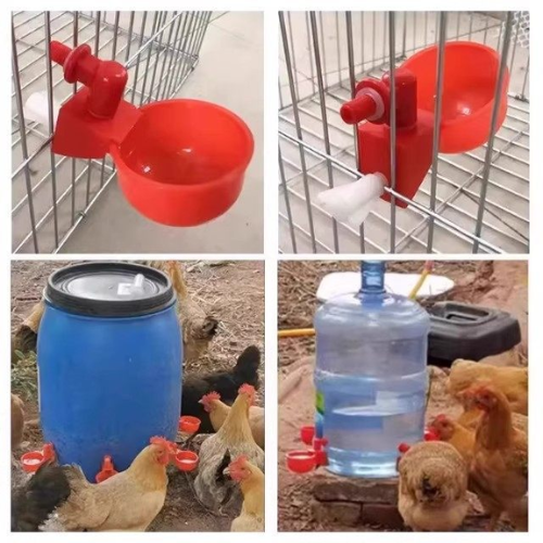 Abbeveratoio Automatico per Pollame – Per Polli, Anatre, Oche e Piccioni – Riempimento Automatico, Risparmio di Tempo e Fatica