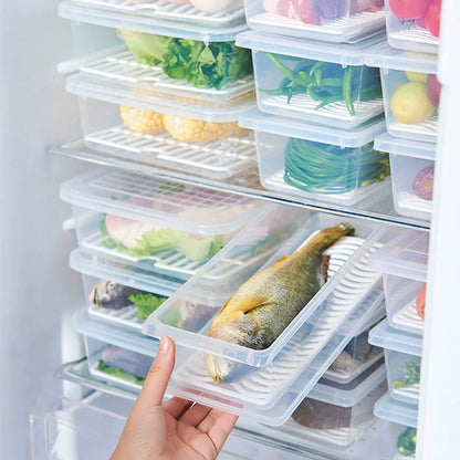 Foody™ Box – Set di 4 scatole per alimenti, senza BPA, mantiene la freschezza, adatto a frigorifero e microonde