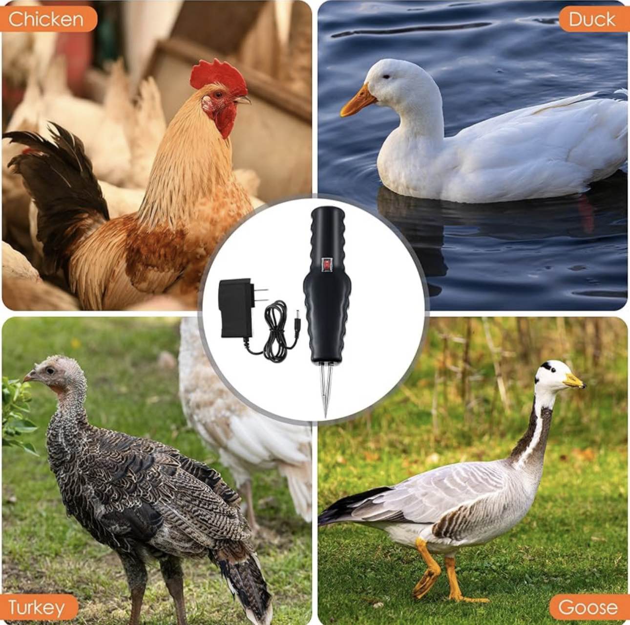 Macchina spiumatrice elettrica per polli, anatre e quaglie (Bản sao)