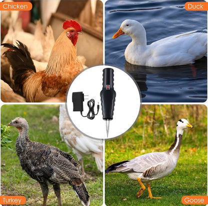 Macchina spiumatrice elettrica per polli, anatre e quaglie (Bản sao)