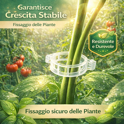 Clip di Supporto per Piante Rampicanti – Ideale per Pomodori e Orto (Fissaggio Stabile e Riutilizzabile)