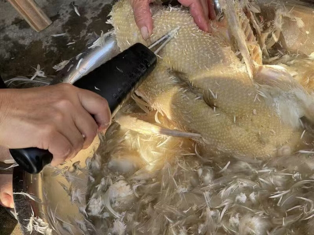 🇮🇹 Macchina per la rimozione delle piume di pollame ad alta potenza, portatile con caricatore rapido